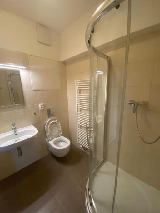 Garden Apartment Karolina Острава Екстер'єр фото